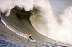 日本队不断突破！，哈登连续七场比赛得分超过出色防守赛场气氛高涨